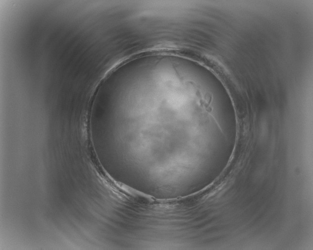 X0000075891409200609291654