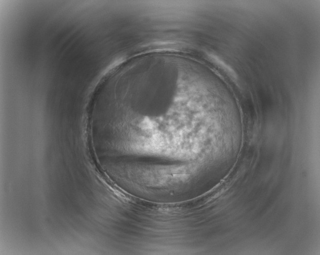 X0000075891411200609291654