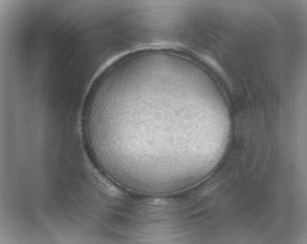 X0000075891412200609291654