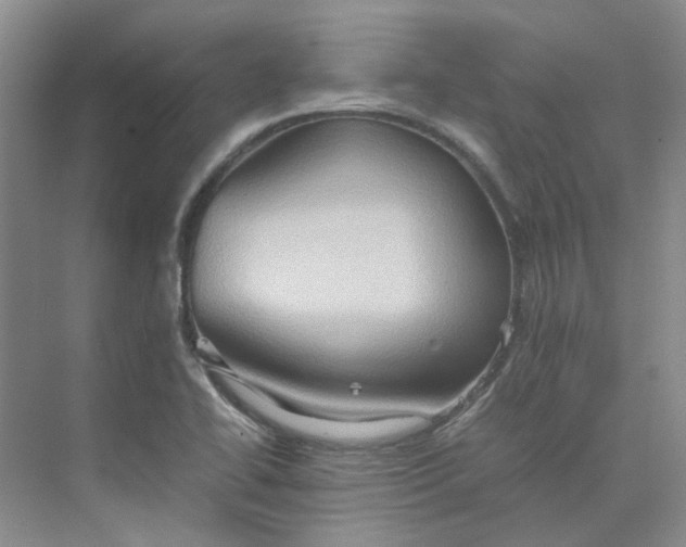 X0000075891414200609291654