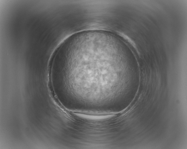 X0000075891415200609291654