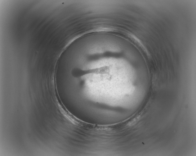 X0000075891417200609291654