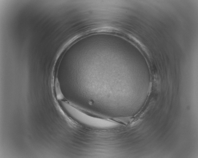 X0000075891418200609291654