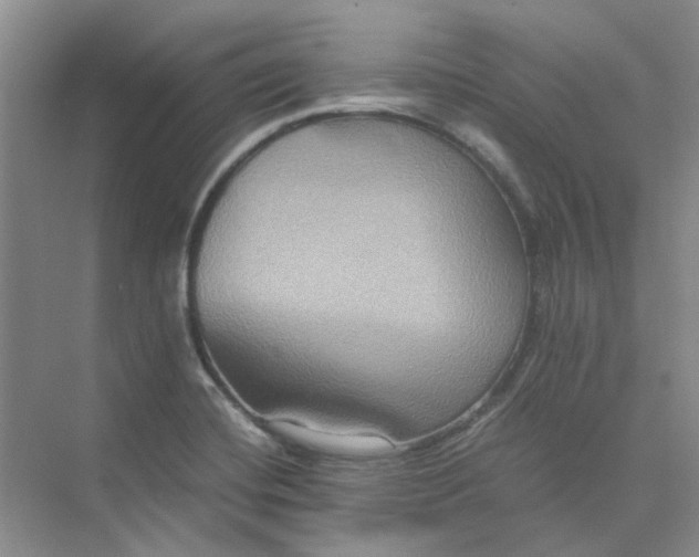 X0000075891420200609291654