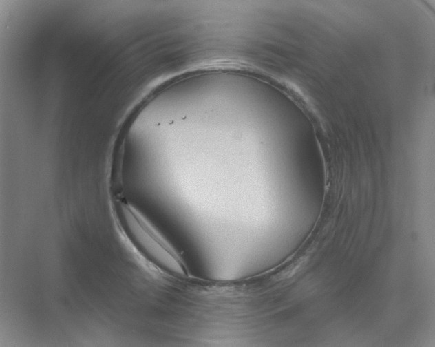 X0000075891422200609291654