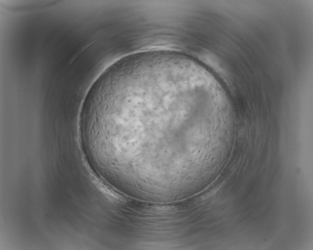 X0000075891423200609291654