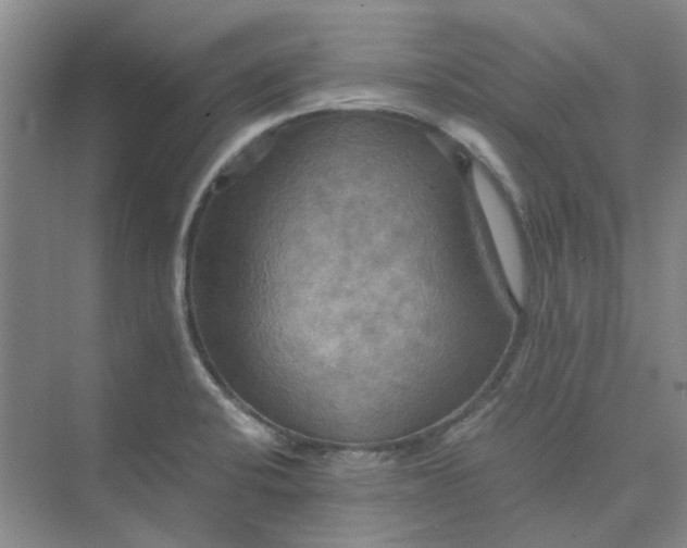 X0000075891424200609291654