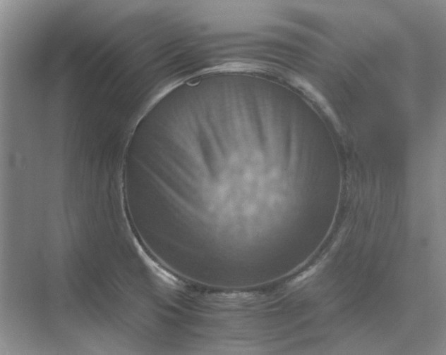 X0000075891425200609291654