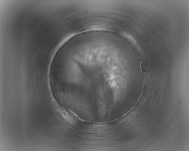 X0000075891427200609291654