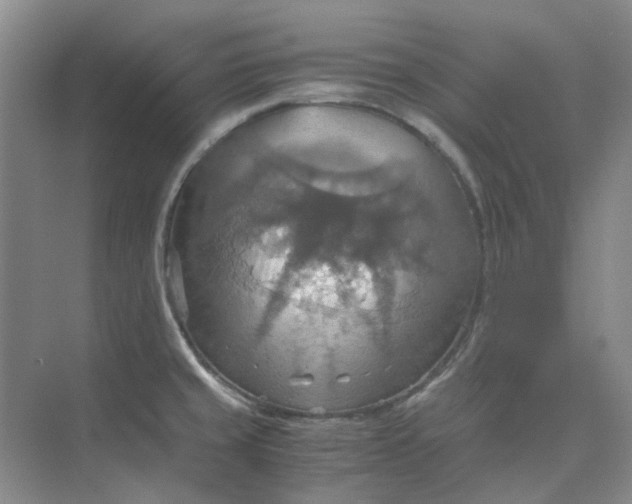 X0000075891429200609291654