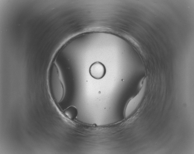 X0000075891430200609291654