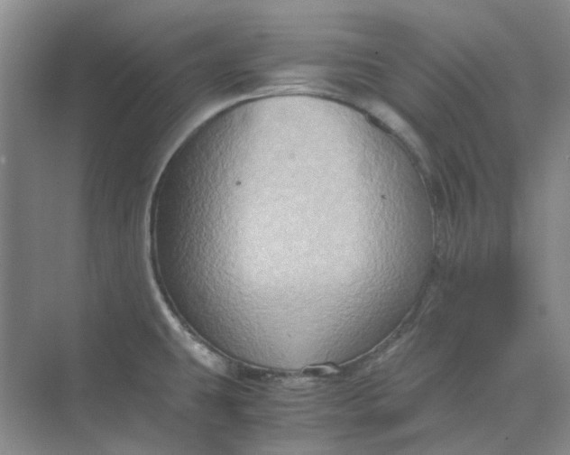 X0000075891431200609291654