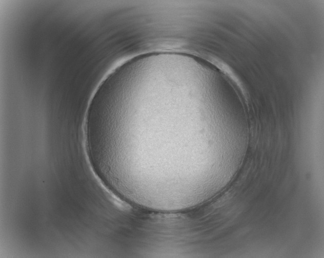 X0000075891432200609291654