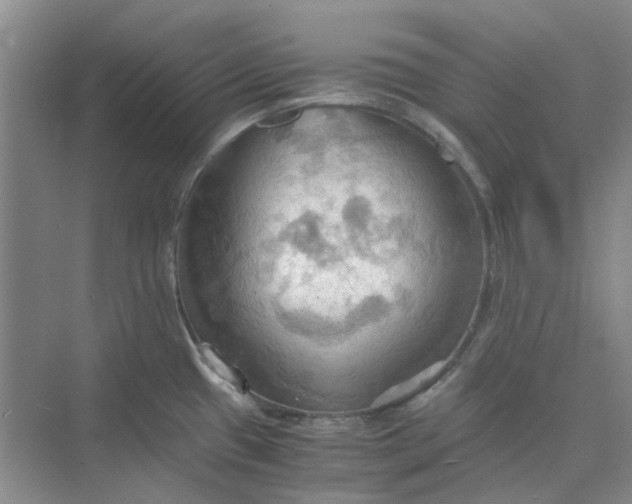 X0000075891433200609291654