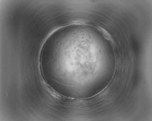 X0000075891435200609291654