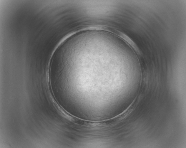 X0000075891436200609291654