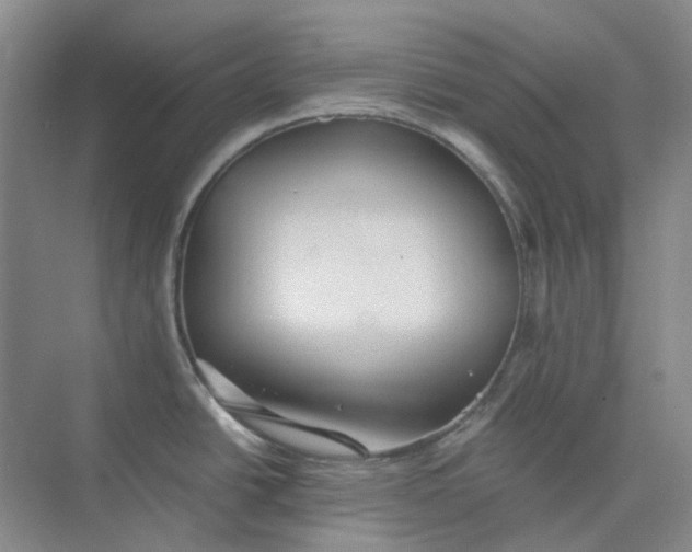 X0000075891438200609291654