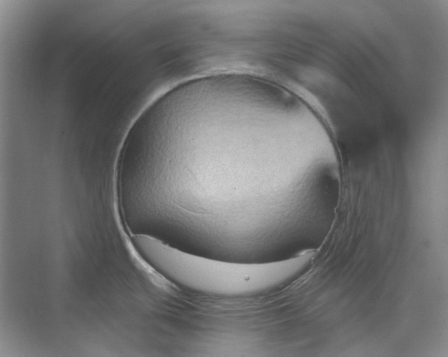 X0000075891439200609291654