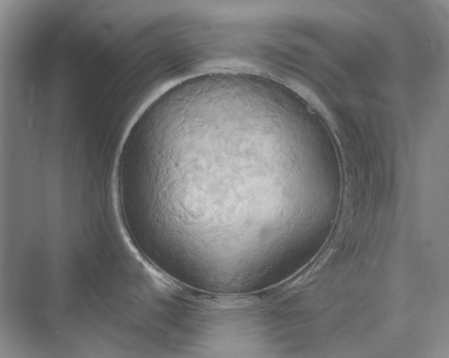 X0000075891440200609291654