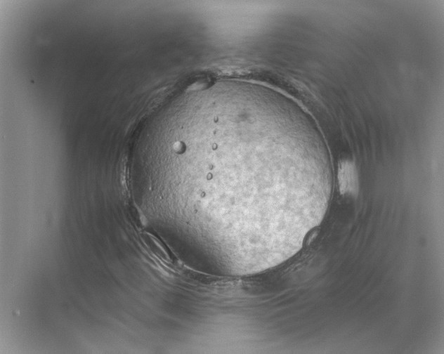 X0000075891444200609291653