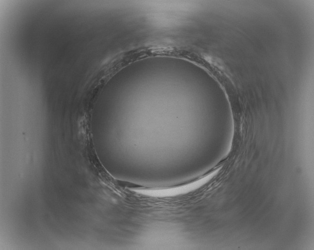 X0000075891445200609291653