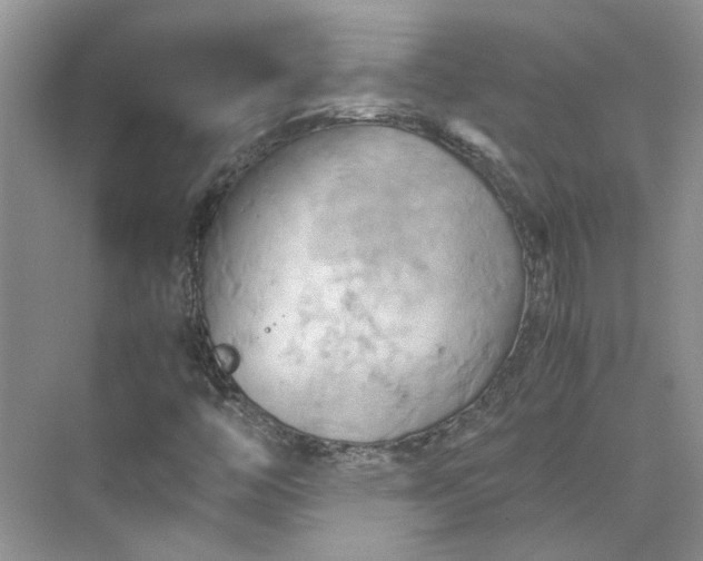 X0000075891446200609291653