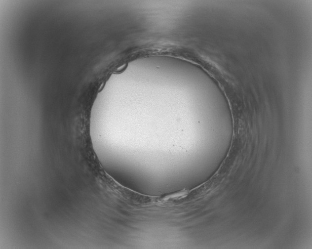 X0000075891447200609291653