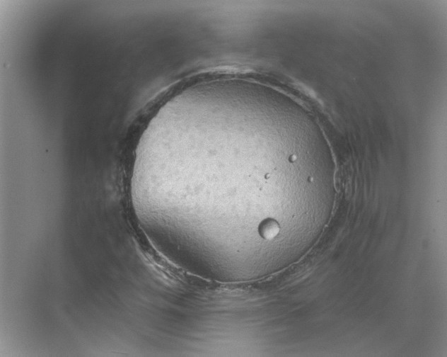 X0000075891448200609291653