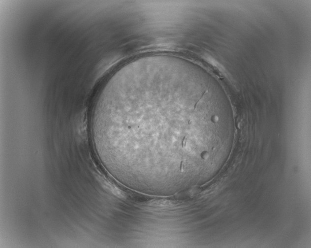 X0000075891450200609291653