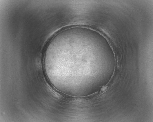 X0000075891452200609291653