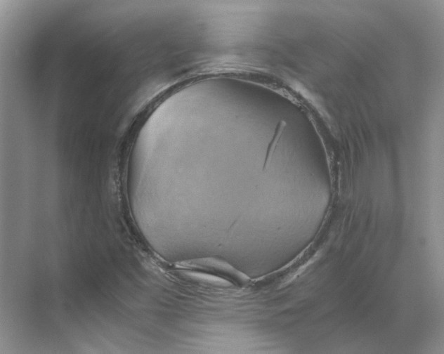 X0000075891453200609291653