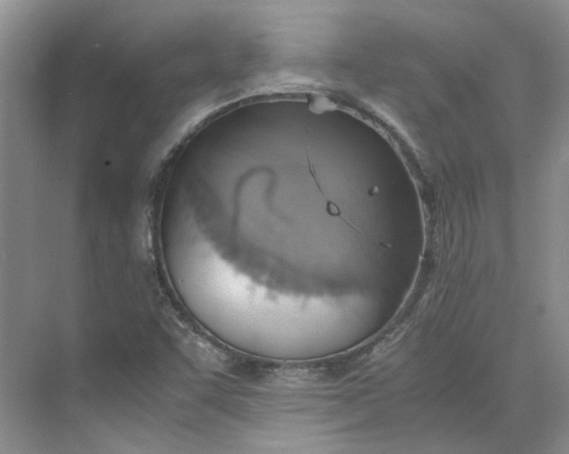 X0000075891455200609291653