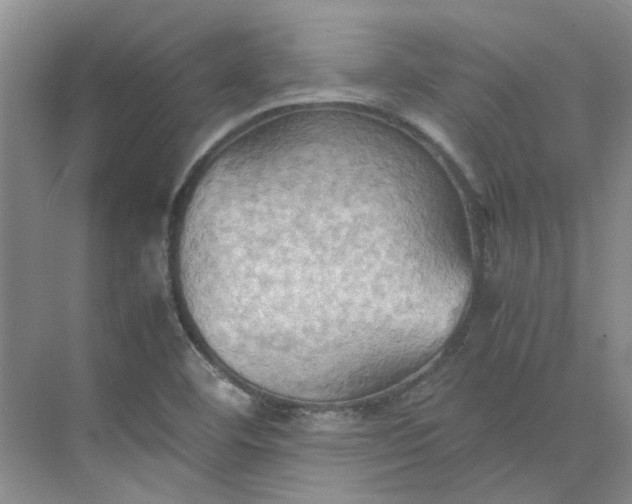 X0000075891460200609291653