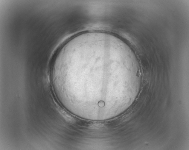 X0000075891462200609291653