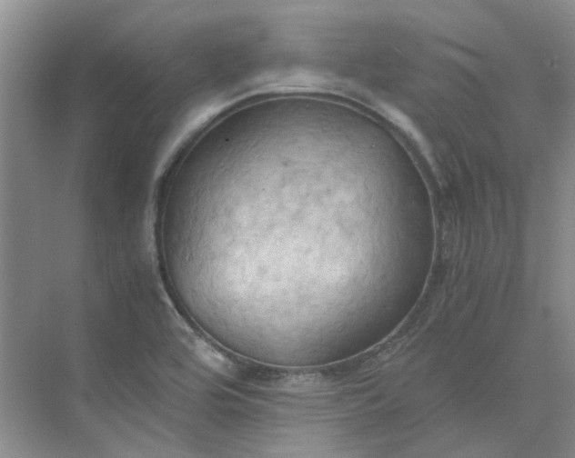 X0000075891464200609291653