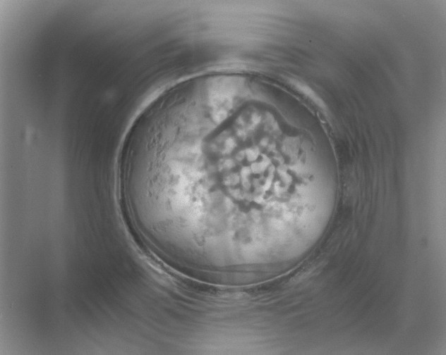 X0000075891467200609291653