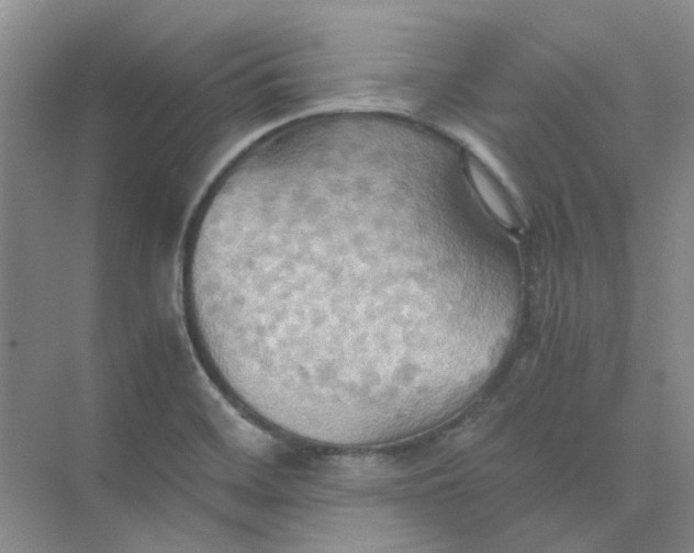 X0000075891468200609291653