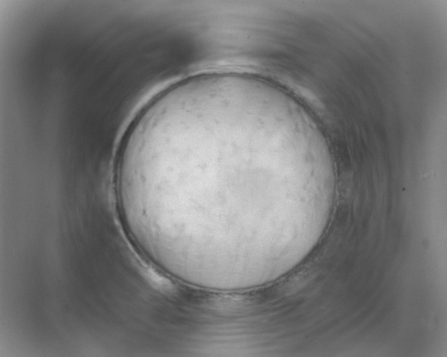 X0000075891470200609291653