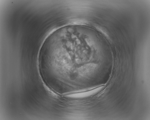 X0000075891471200609291653