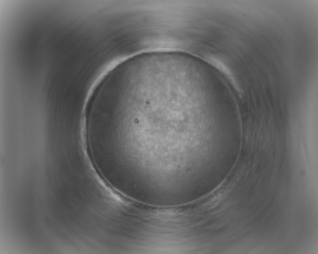 X0000075891472200609291653