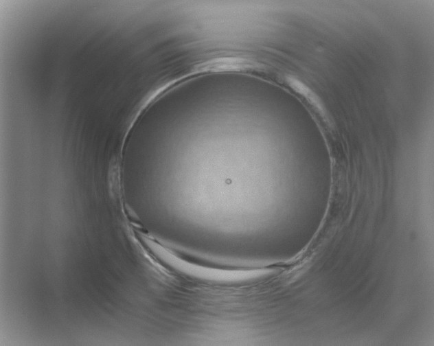 X0000075891473200609291653