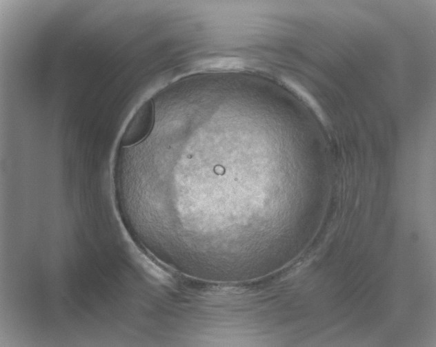 X0000075891475200609291653