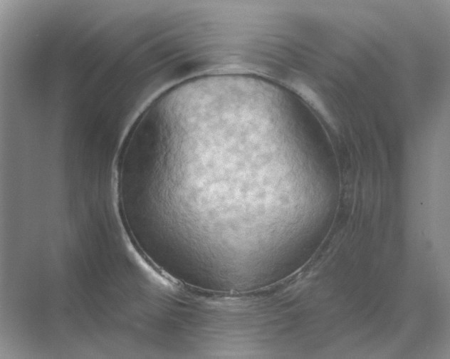 X0000075891476200609291653