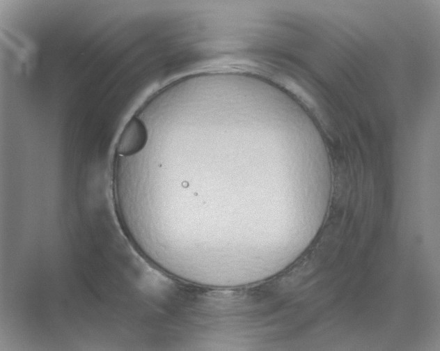 X0000075891478200609291653