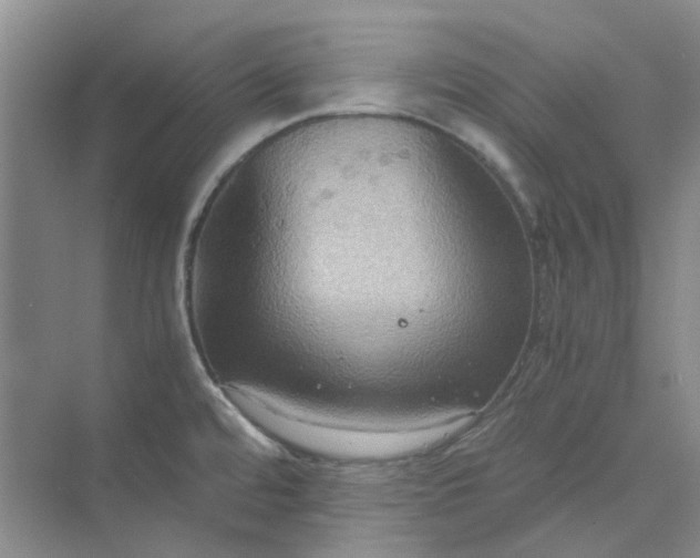 X0000075891480200609291653