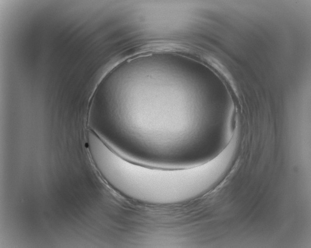 X0000075891481200609291653