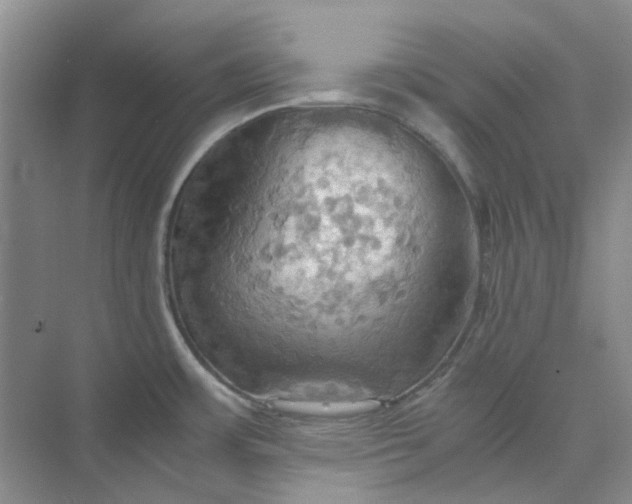 X0000075891483200609291653