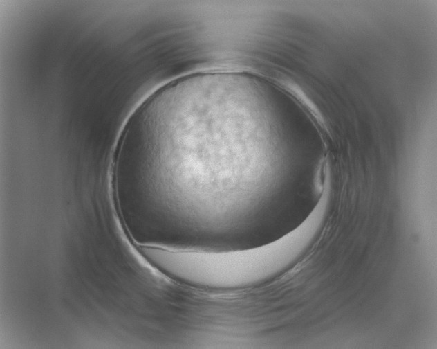 X0000075891484200609291653