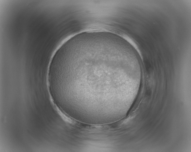 X0000075891485200609291653