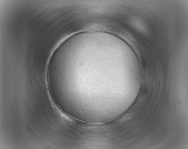 X0000075891486200609291653